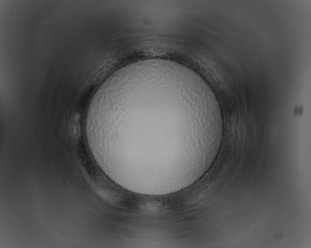X0000089360598200707131616