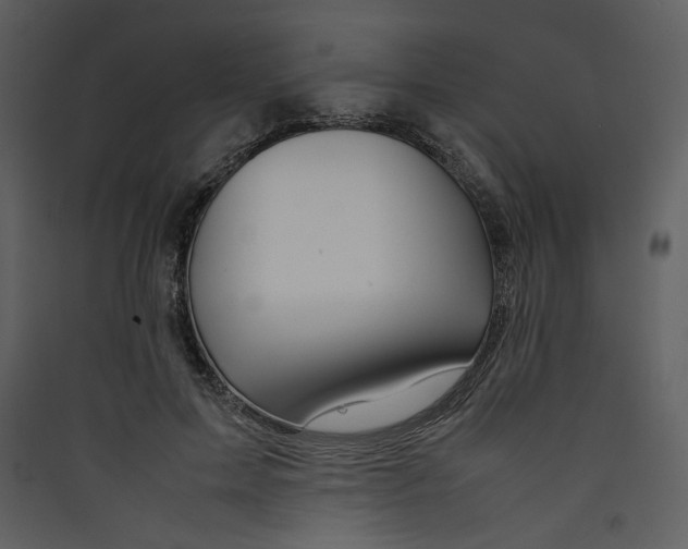 X0000089360599200707131616