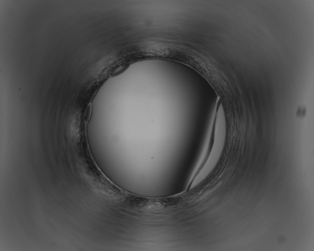 X0000089360600200707131616