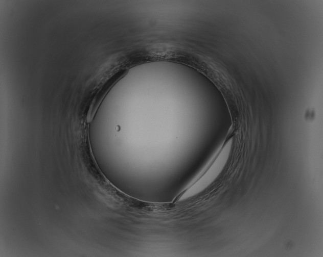 X0000089360601200707131616
