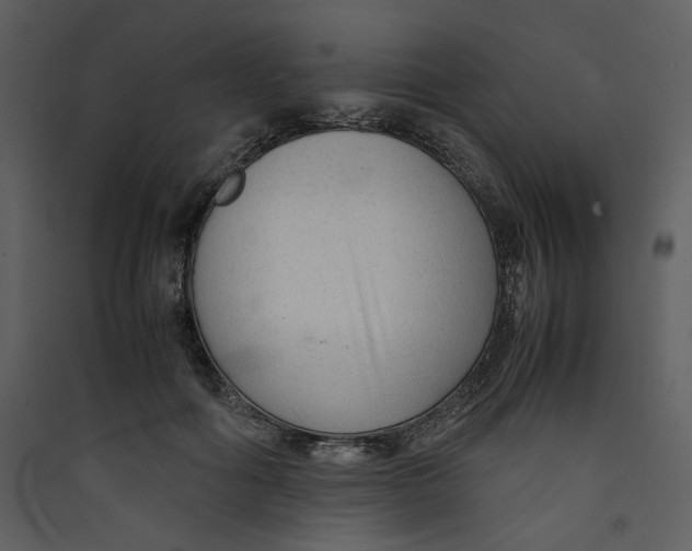 X0000089360602200707131616