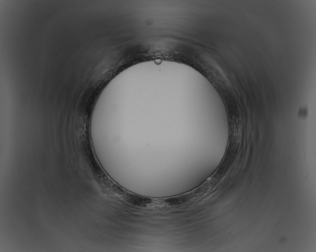 X0000089360603200707131616