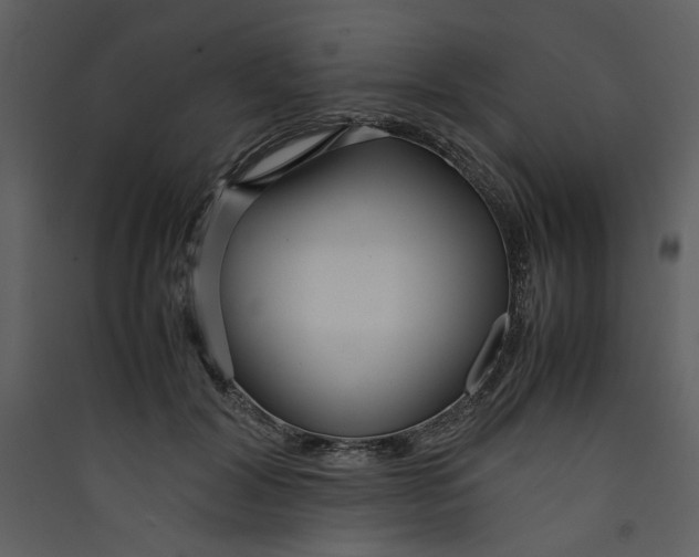 X0000089360604200707131616
