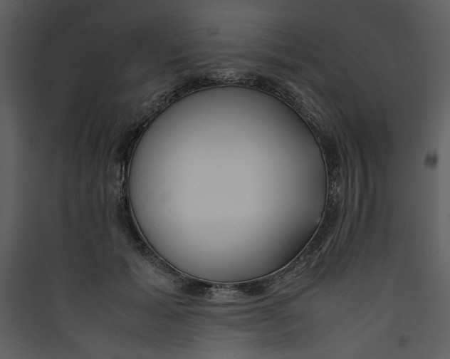 X0000089360605200707131616