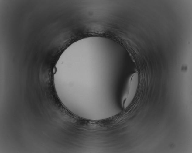 X0000089360608200707131616