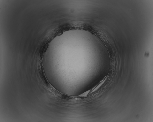 X0000089360609200707131616