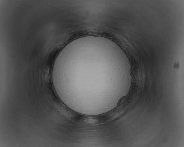 X0000089360610200707131616