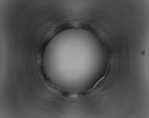 X0000089360611200707131616