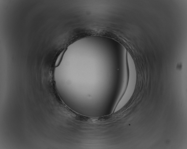 X0000089360613200707131616