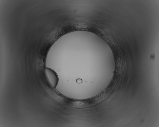 X0000089360614200707131616