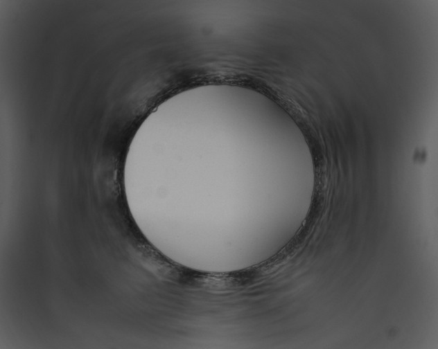 X0000089360615200707131616