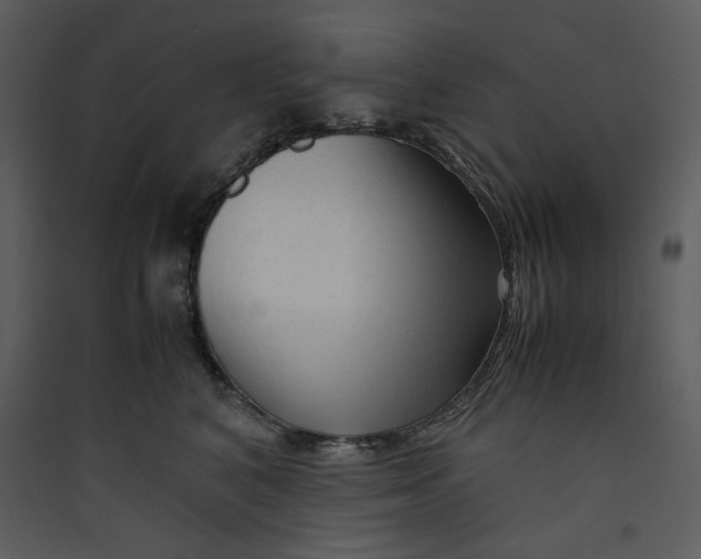 X0000089360616200707131616