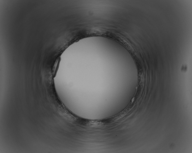X0000089360617200707131616