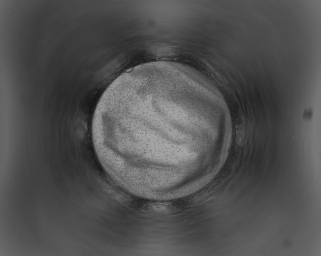 X0000089360618200707131616