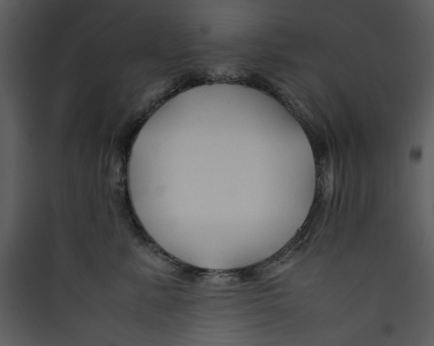 X0000089360619200707131616