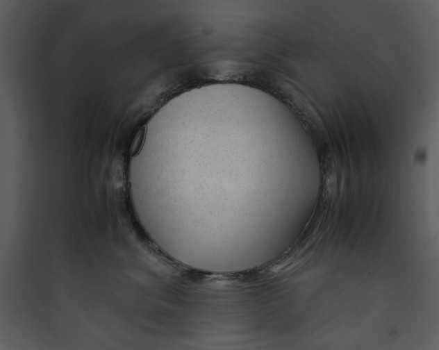 X0000089360620200707131616
