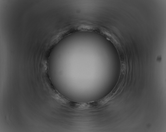 X0000089360621200707131616