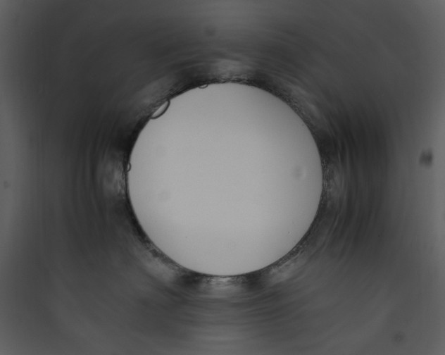 X0000089360622200707131616