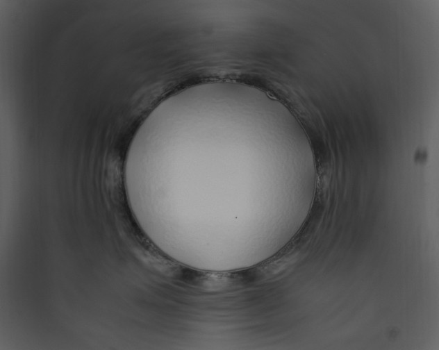 X0000089360623200707131616