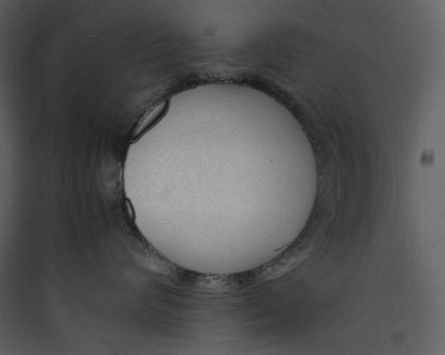 X0000089360624200707131616