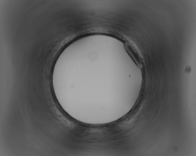X0000089360625200707131615