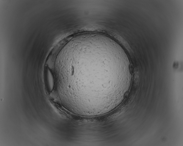 X0000089360626200707131615