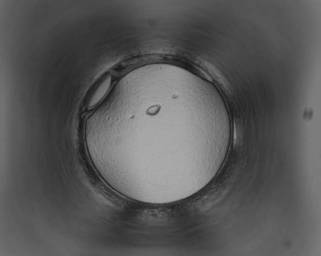 X0000089360627200707131615