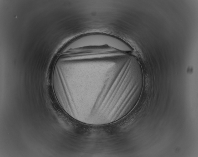 X0000089360628200707131615