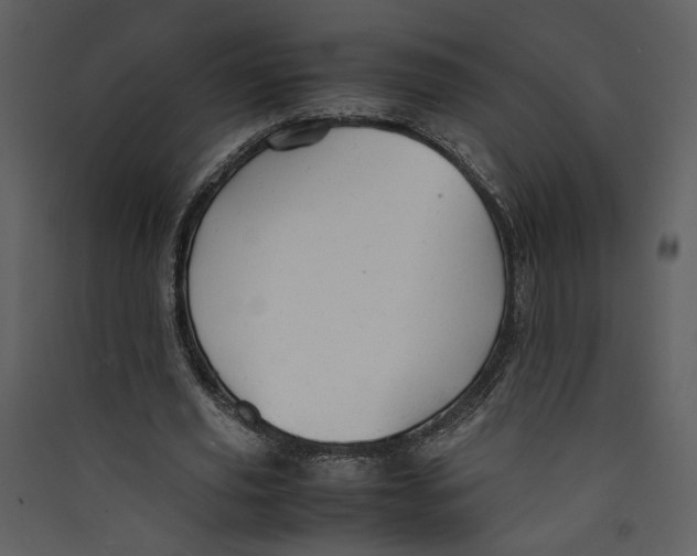 X0000089360629200707131615