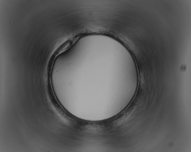 X0000089360630200707131615