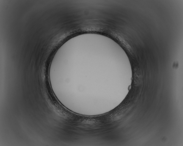 X0000089360631200707131615
