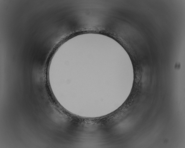 X0000089360632200707131615
