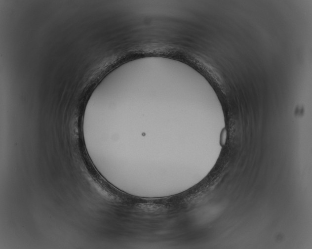 X0000089360633200707131615