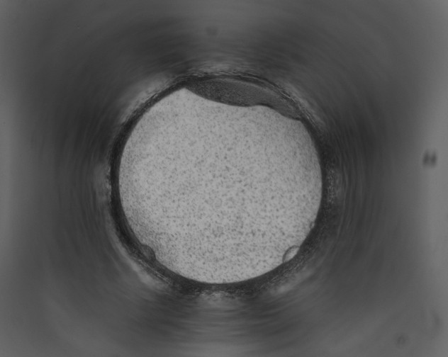 X0000089360634200707131615