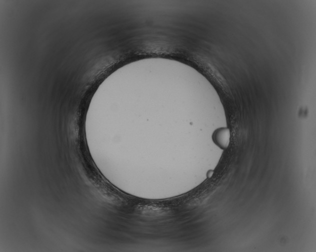 X0000089360635200707131615