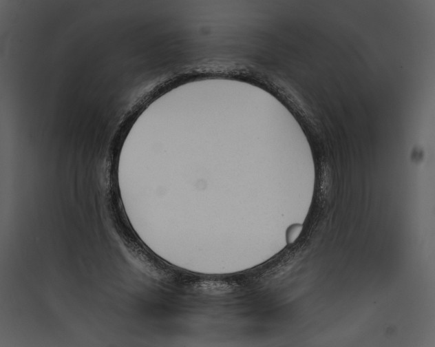 X0000089360636200707131615