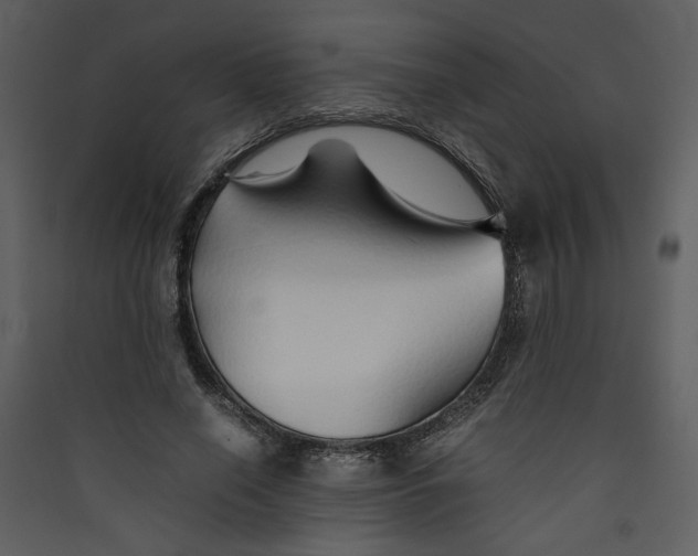 X0000089360638200707131615