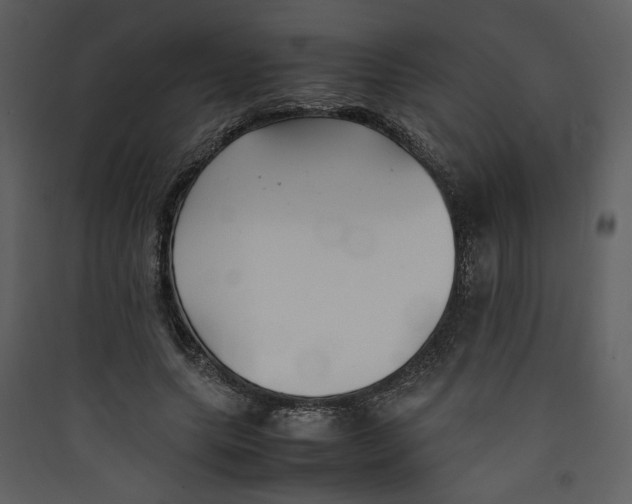 X0000089360639200707131615