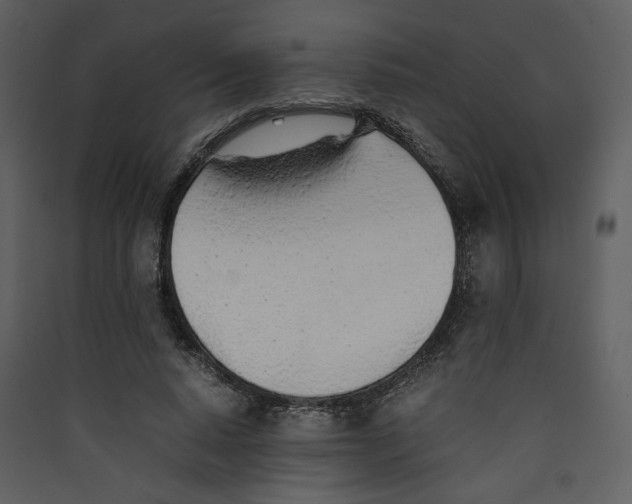 X0000089360640200707131615