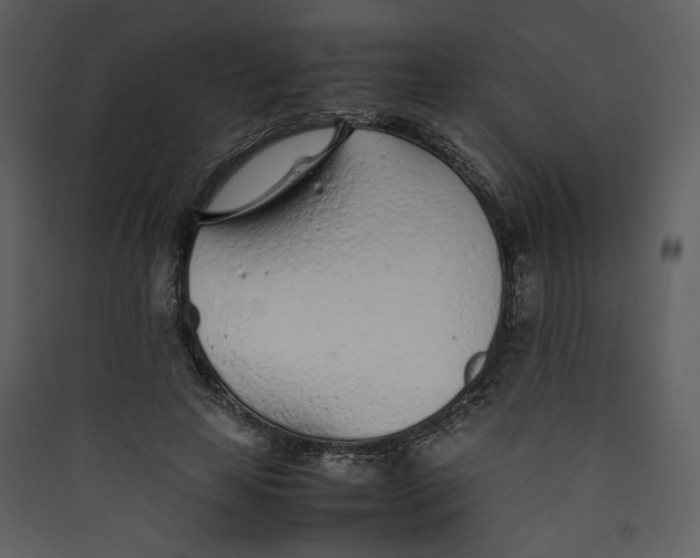 X0000089360641200707131616