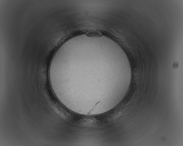 X0000089360642200707131616