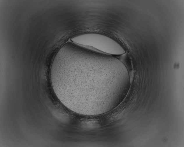 X0000089360643200707131616