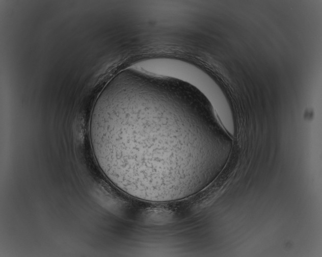 X0000089360644200707131616