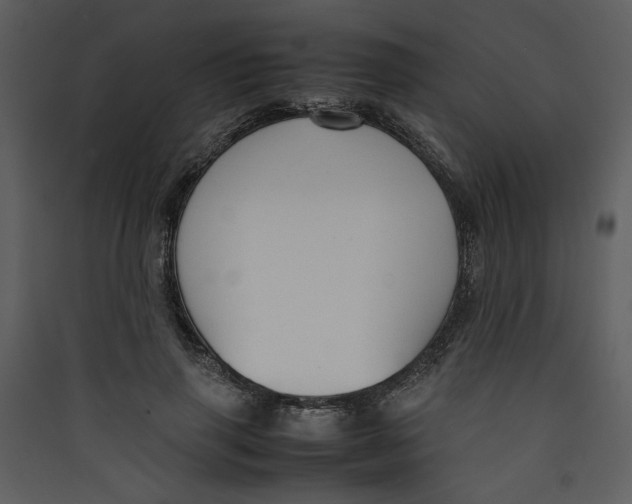 X0000089360645200707131616