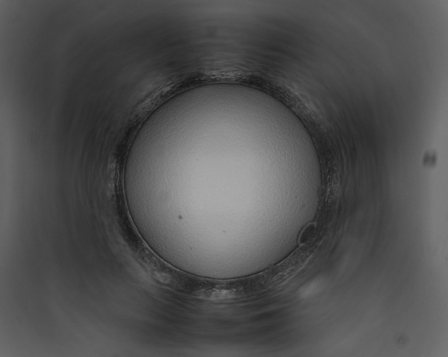 X0000089360647200707131616