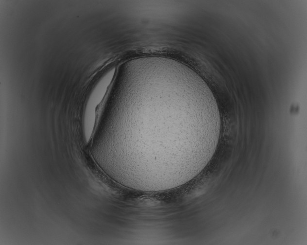 X0000089360648200707131616