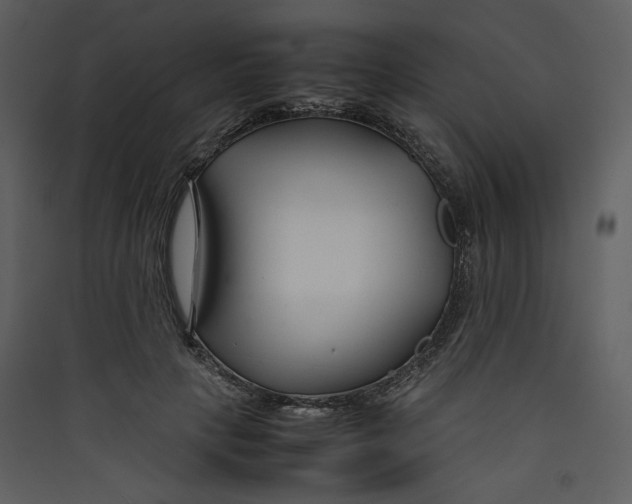 X0000089360649200707131616