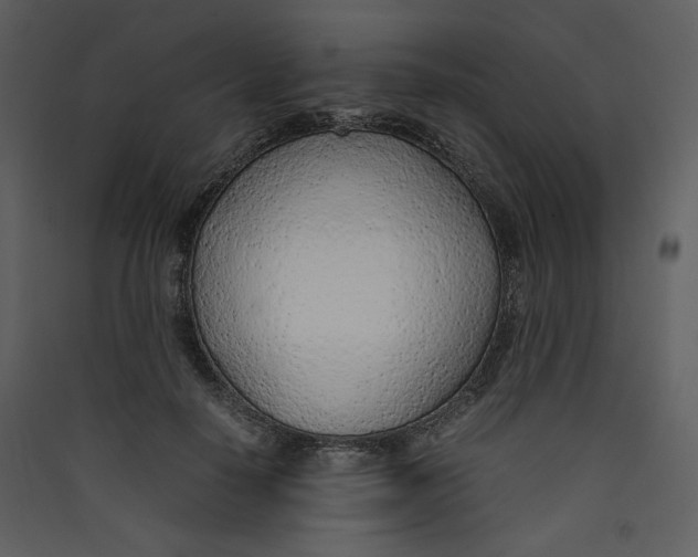 X0000089360650200707131616