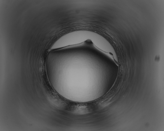 X0000089360651200707131616