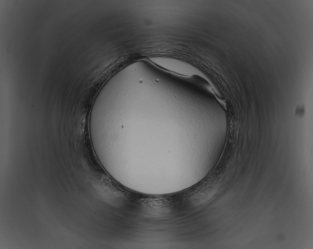X0000089360652200707131616